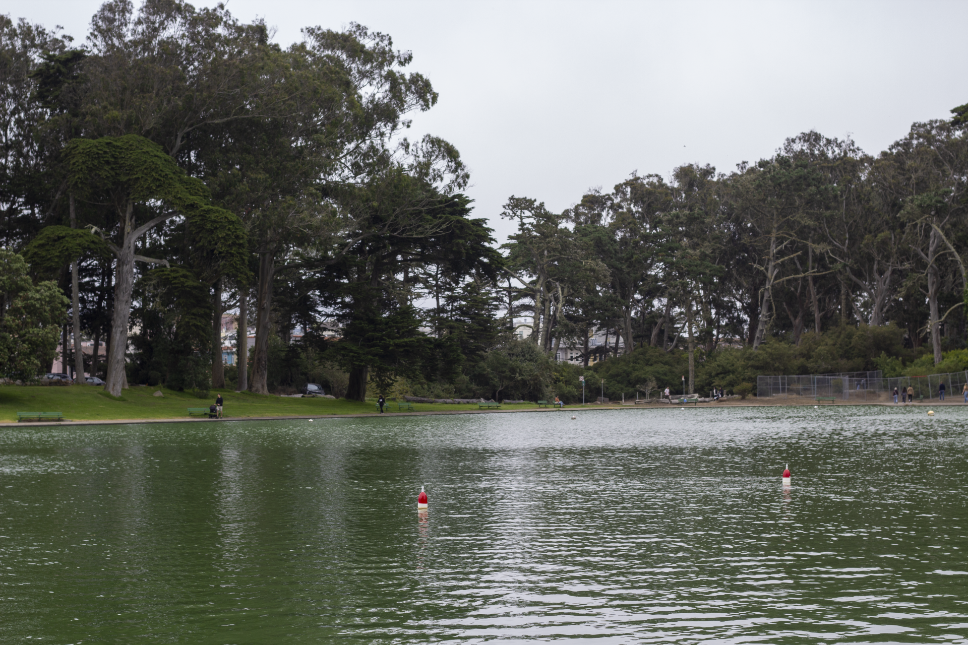 A lake sits in Golden Gate Park, with overcast skies in the background.
